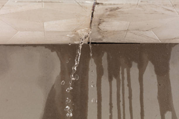 Professional Water Damage Repair technician working in Louise, TX